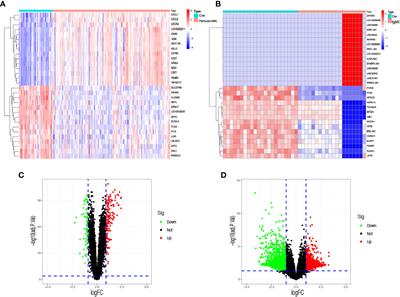 Transcriptomic analysis reveals the potential crosstalk genes and immune relationship between IgA nephropathy and periodontitis